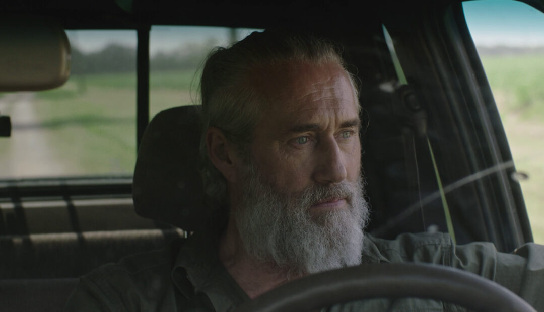 Indiecan Entertainment - Pointe Noire